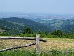 Šta sve možemo obići na Fruškoj gori?