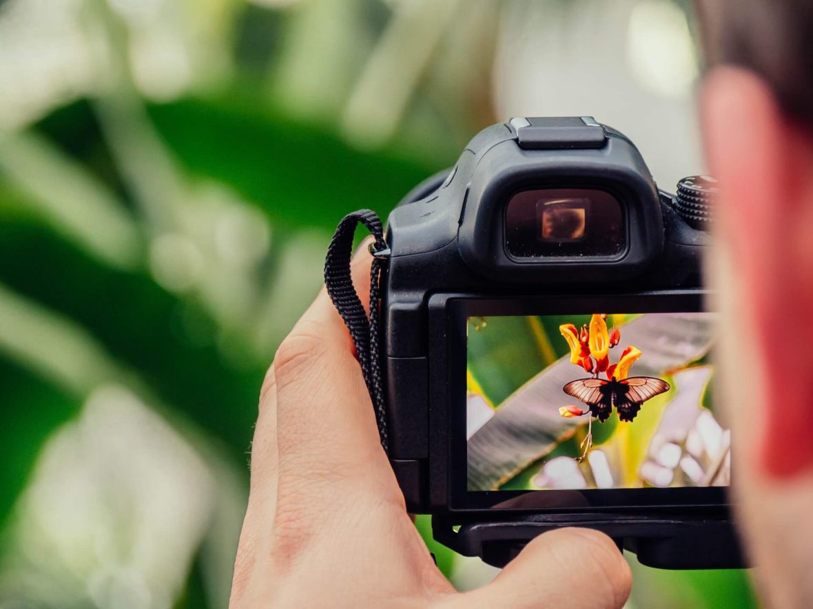 Fotografija kao fenomen današnjice