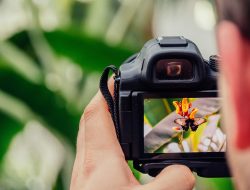 Fotografija kao fenomen današnjice