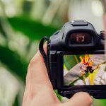 Fotografija kao fenomen današnjice